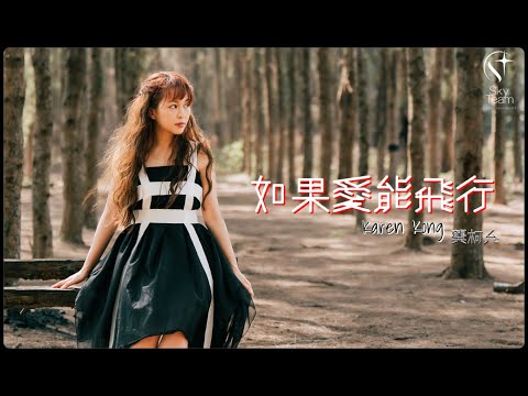 如果愛能飛行 cover artwork